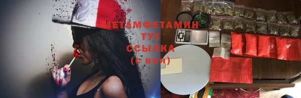 амф Володарск
