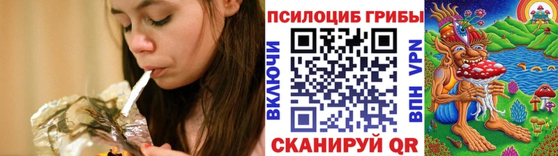 закладка  маркетплейс состав  Галлюциногенные грибы Psilocybe  Дальнегорск 